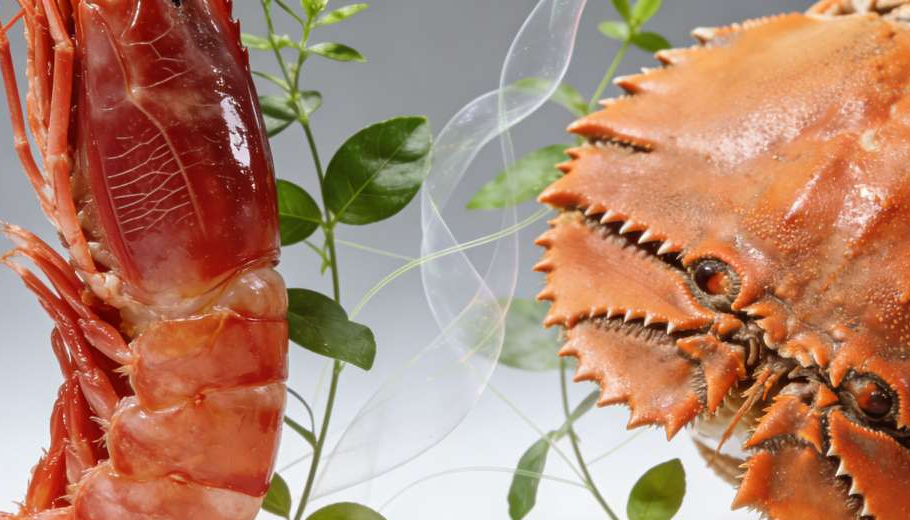 甲殼素 (Chitosan) [減肥消脂類 Weight loss]