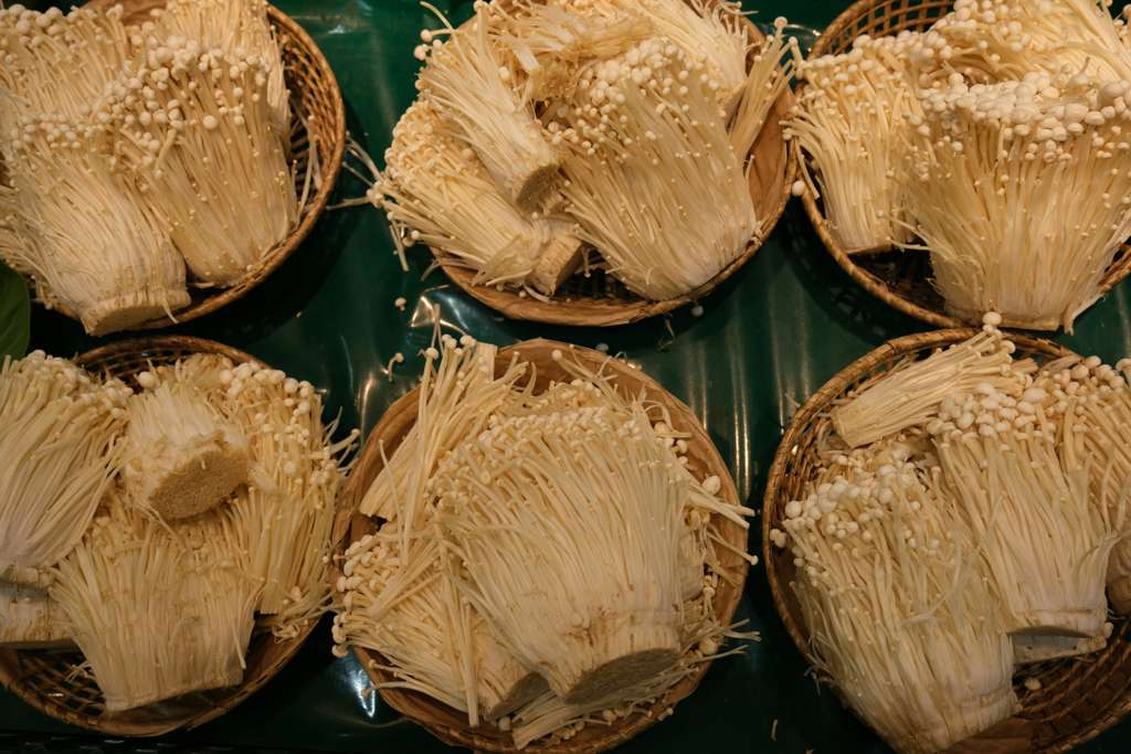 金針菇 (Enoki) [皮膚濕疹類 Skin]