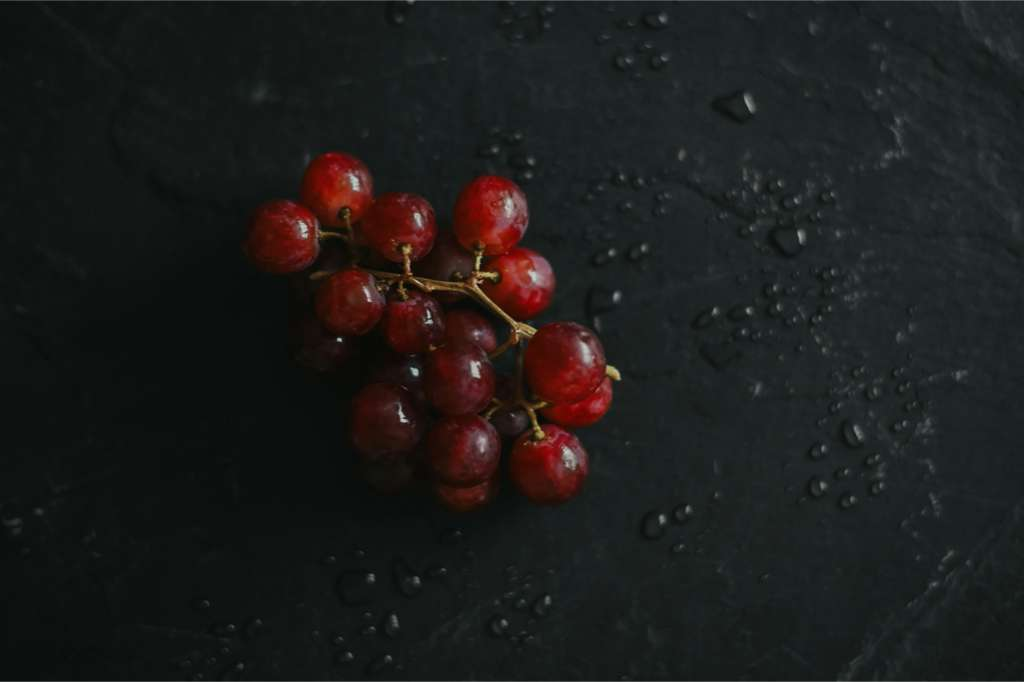 酸櫻桃 (Tart cherry) [痛風類 Gout]