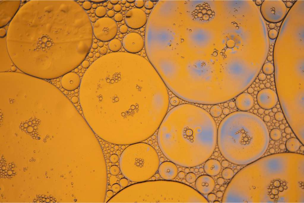 透明質酸 (Hyaluronic Acid) [骨關節類 Joint]