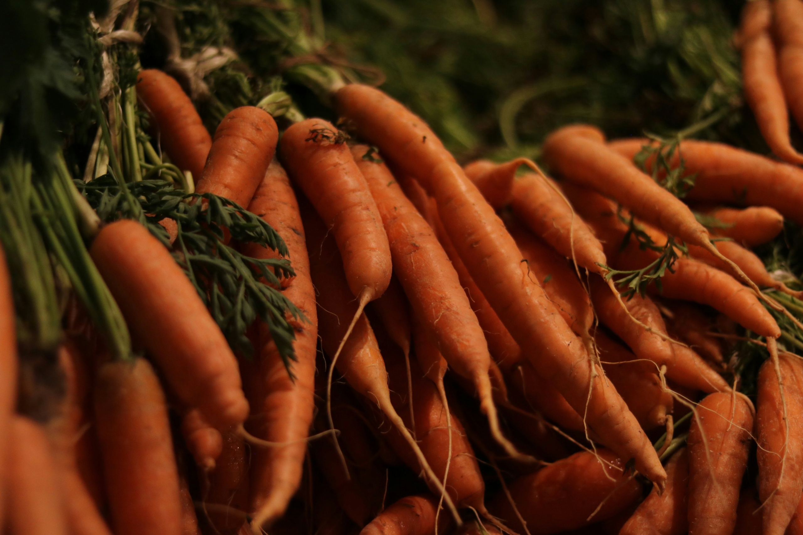 β-胡蘿蔔素 (β-Carotene)  [護眼類 Eye Care]