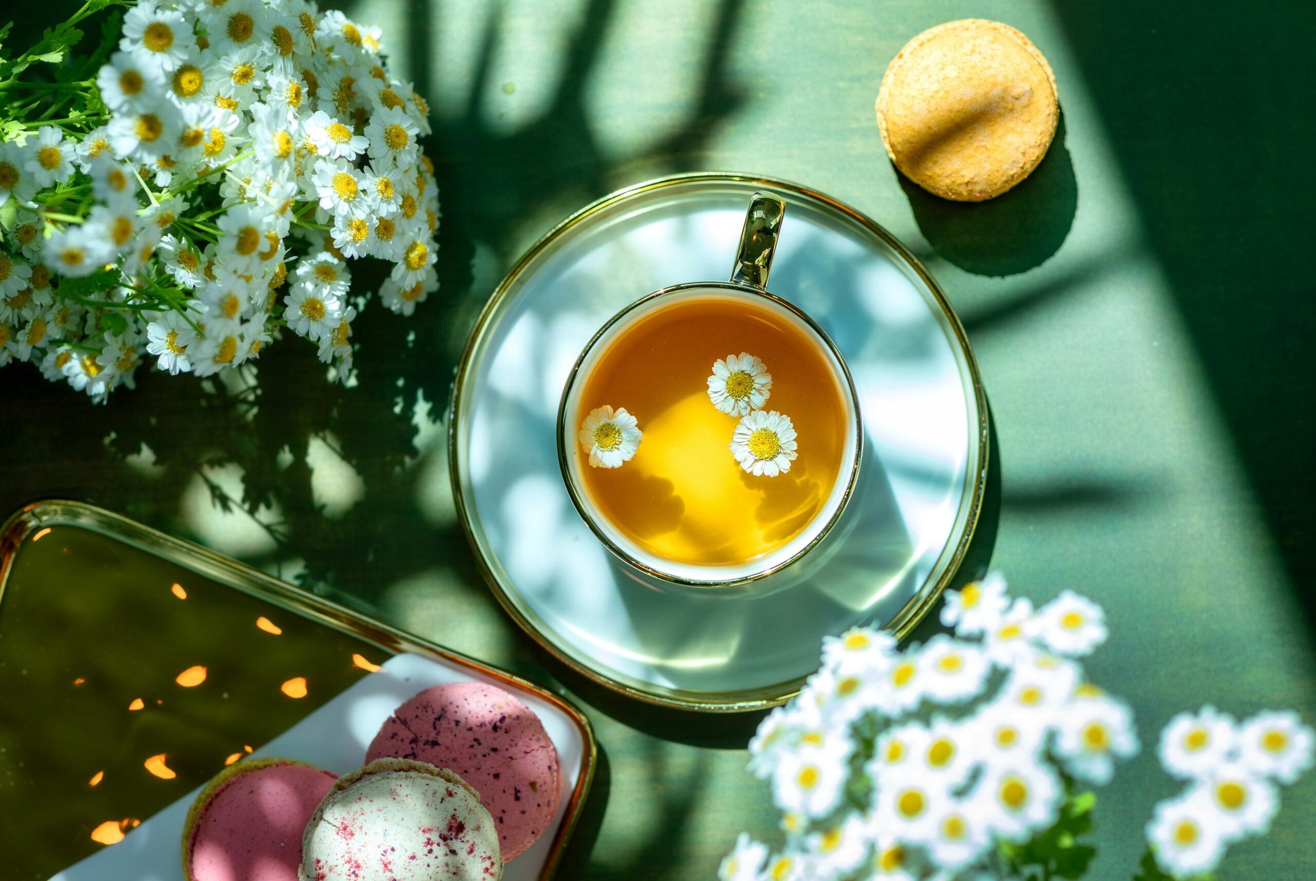 小白菊 (Feverfew) [抗菌類 Antibacterial]