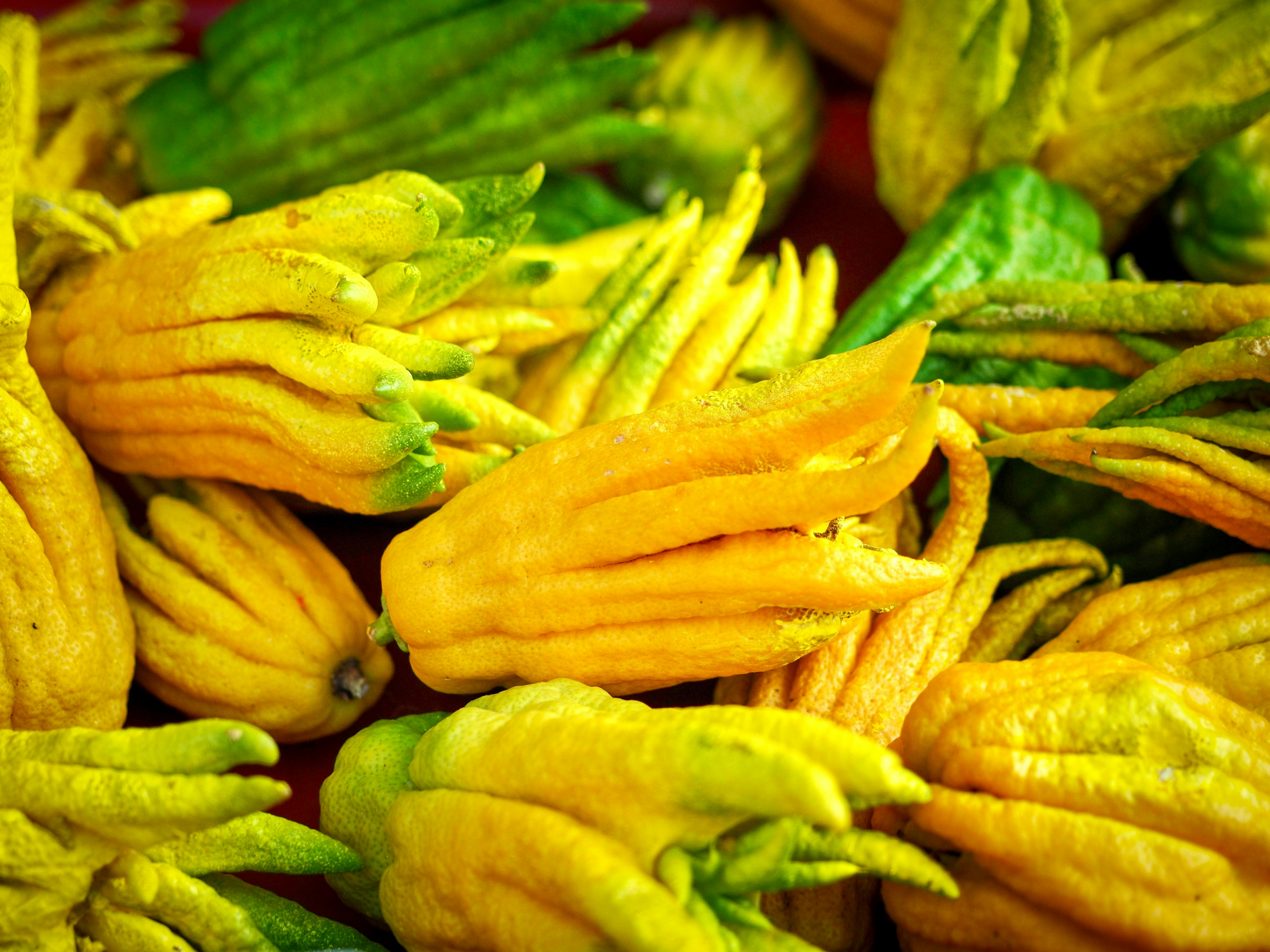 佛手柑 (Bergamot) [降膽固醇類 Cholesterol reduction]