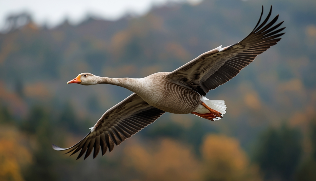 肌肽 (L-Carnosine) [逆齡抗衰老類 Anti-Aging]