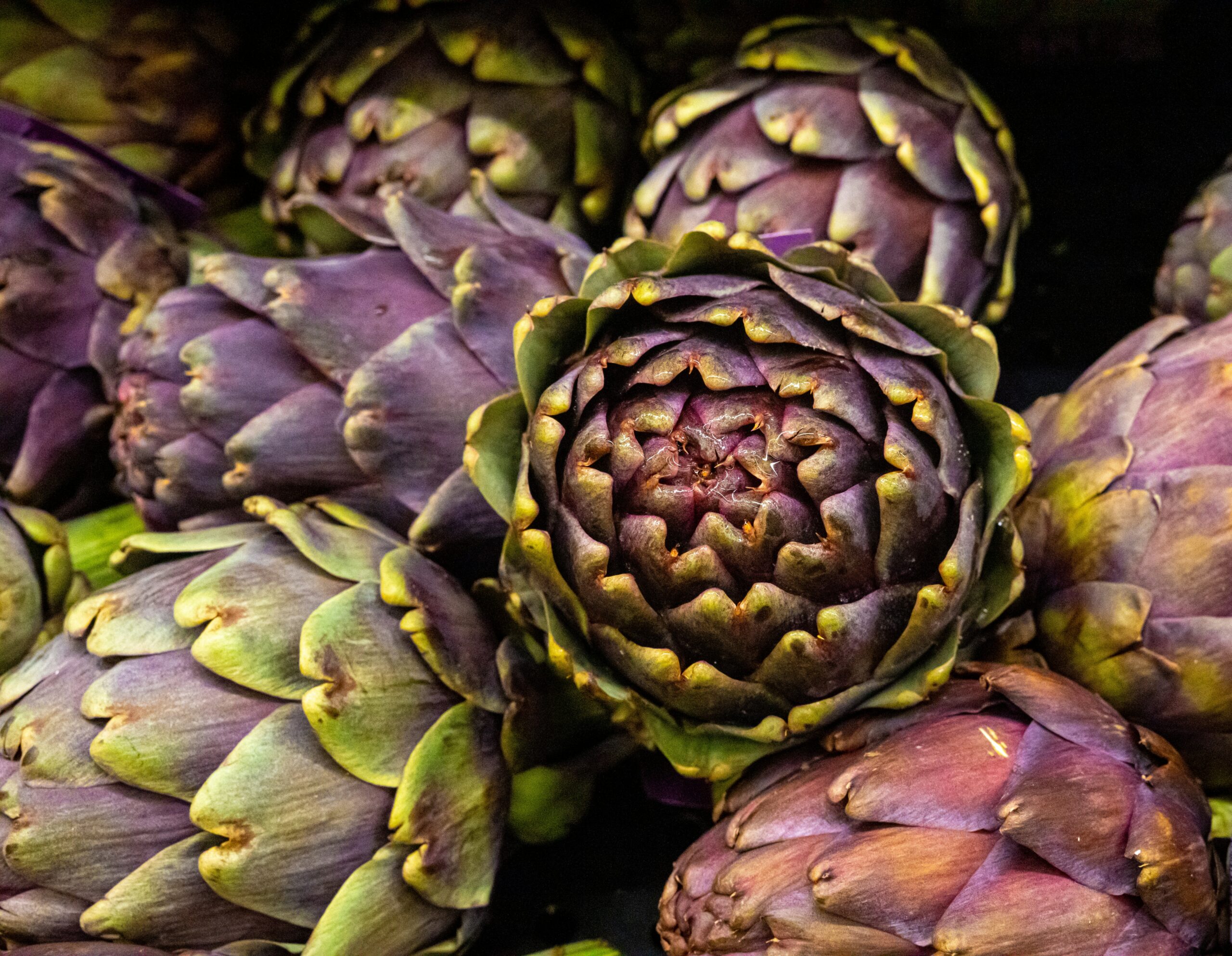 朝鮮薊 (Artichoke) [降膽固醇類 Cholesterol reduction]