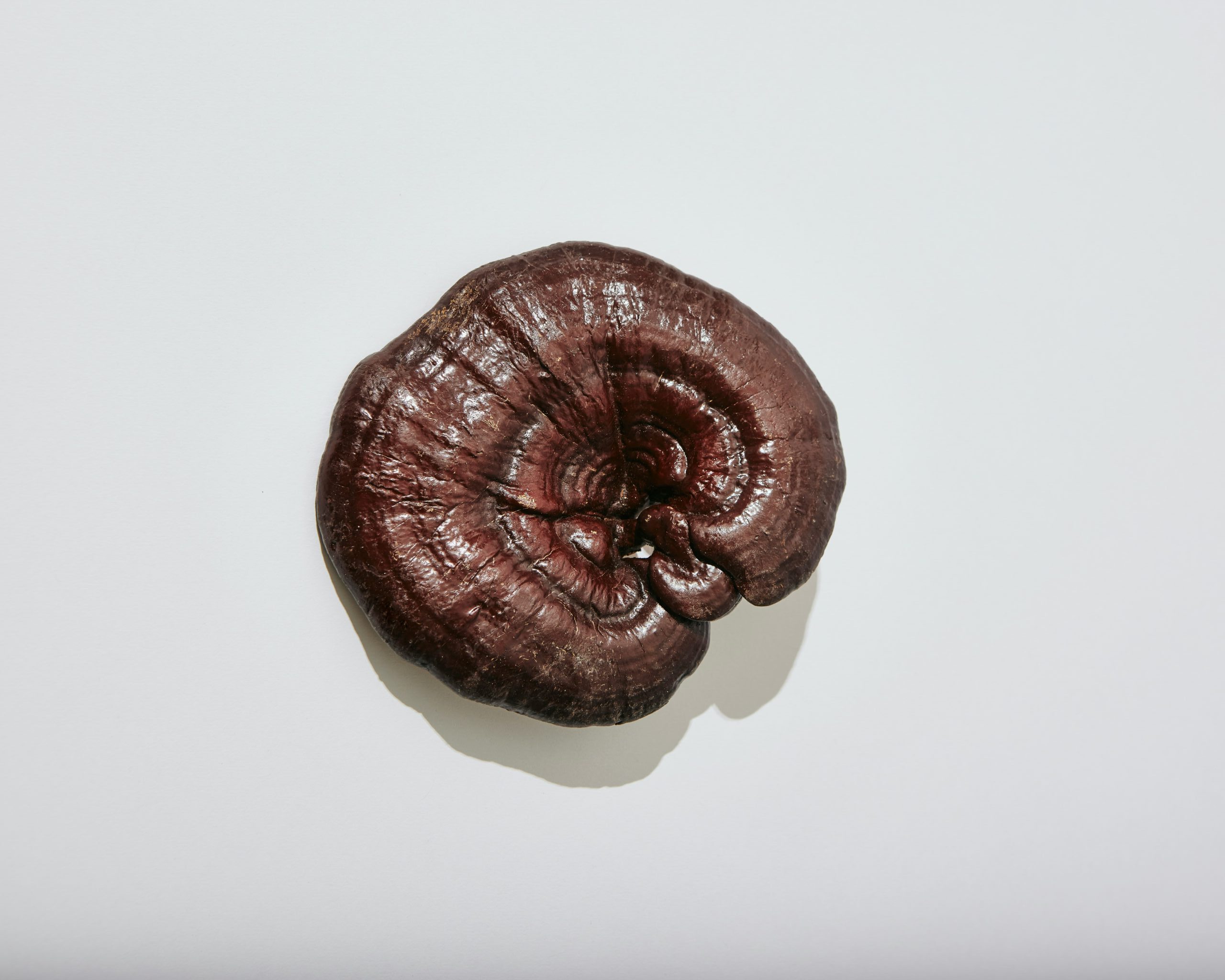 靈芝 (Reishi) [抗癌類 Anti-cancer]