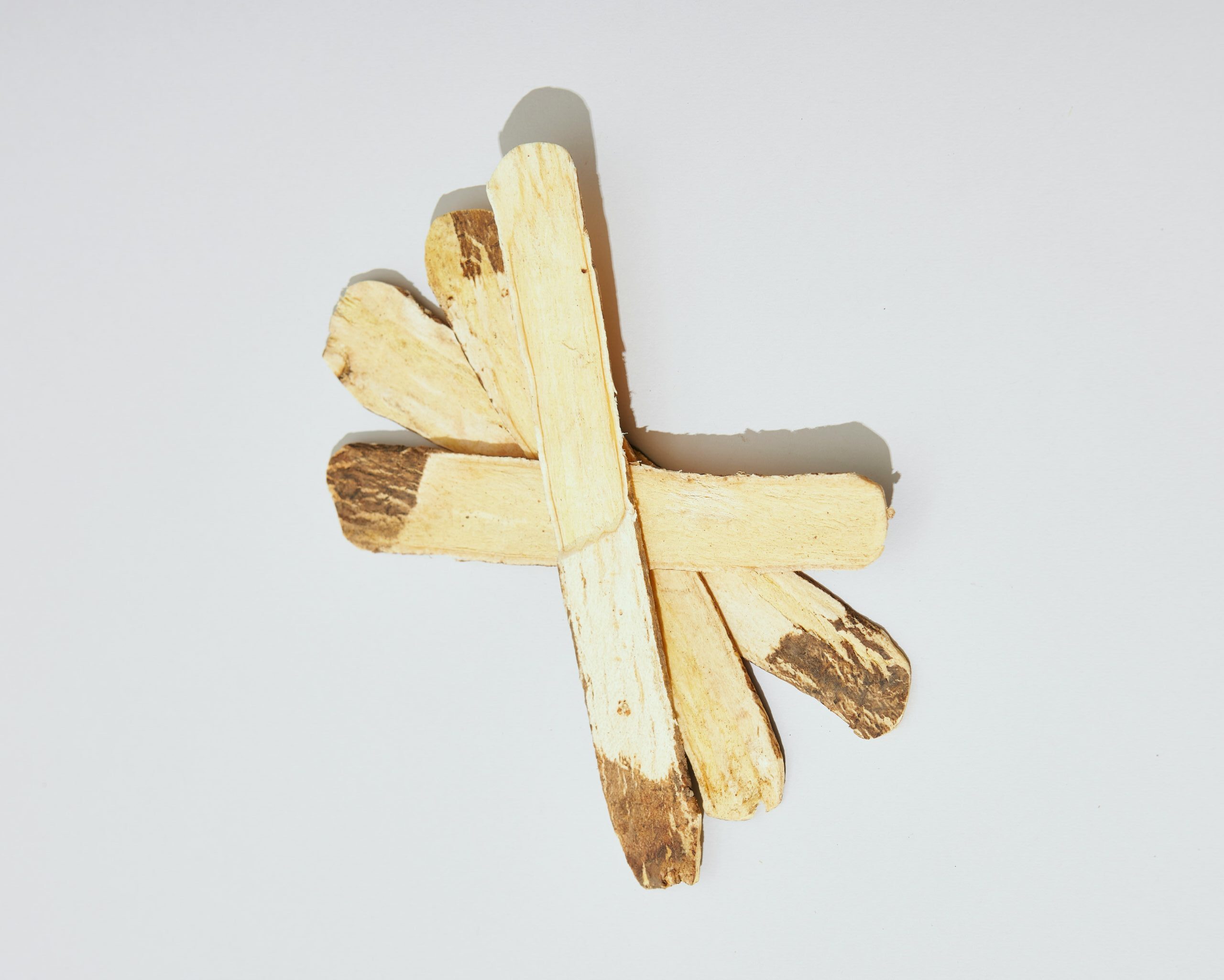 黃芪 (Astragalus)[肺氣管類 Lung & Trachea]