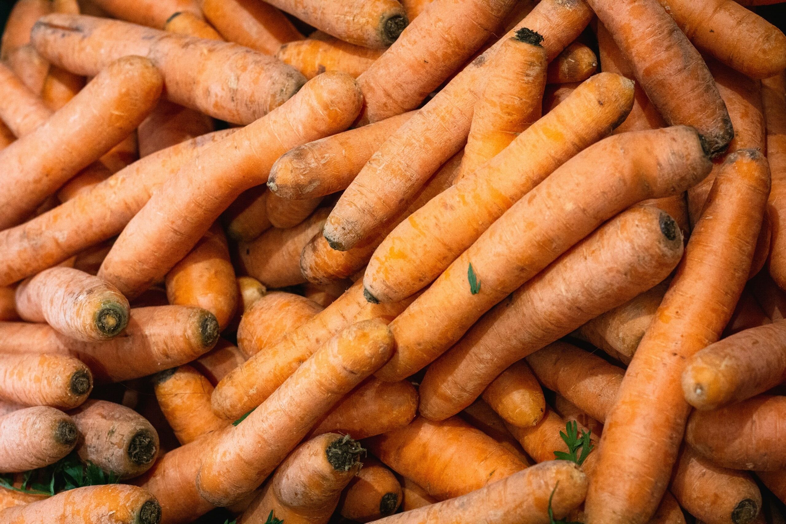 維他命 A (Vitamin A) [維他命微元素類 Vitamin & Micronutrient]