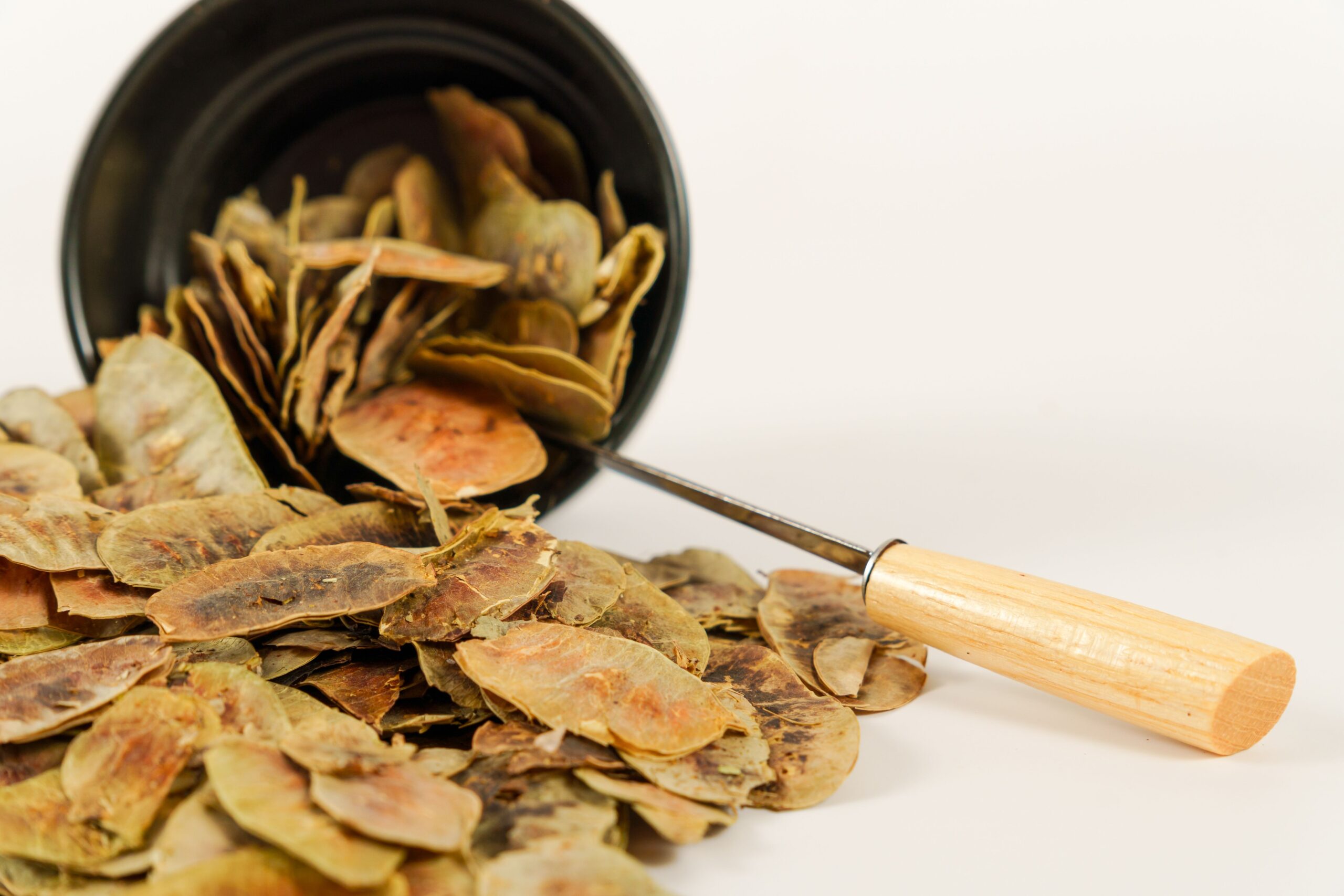 番瀉葉 (Senna) [暢便類 Gut health ]