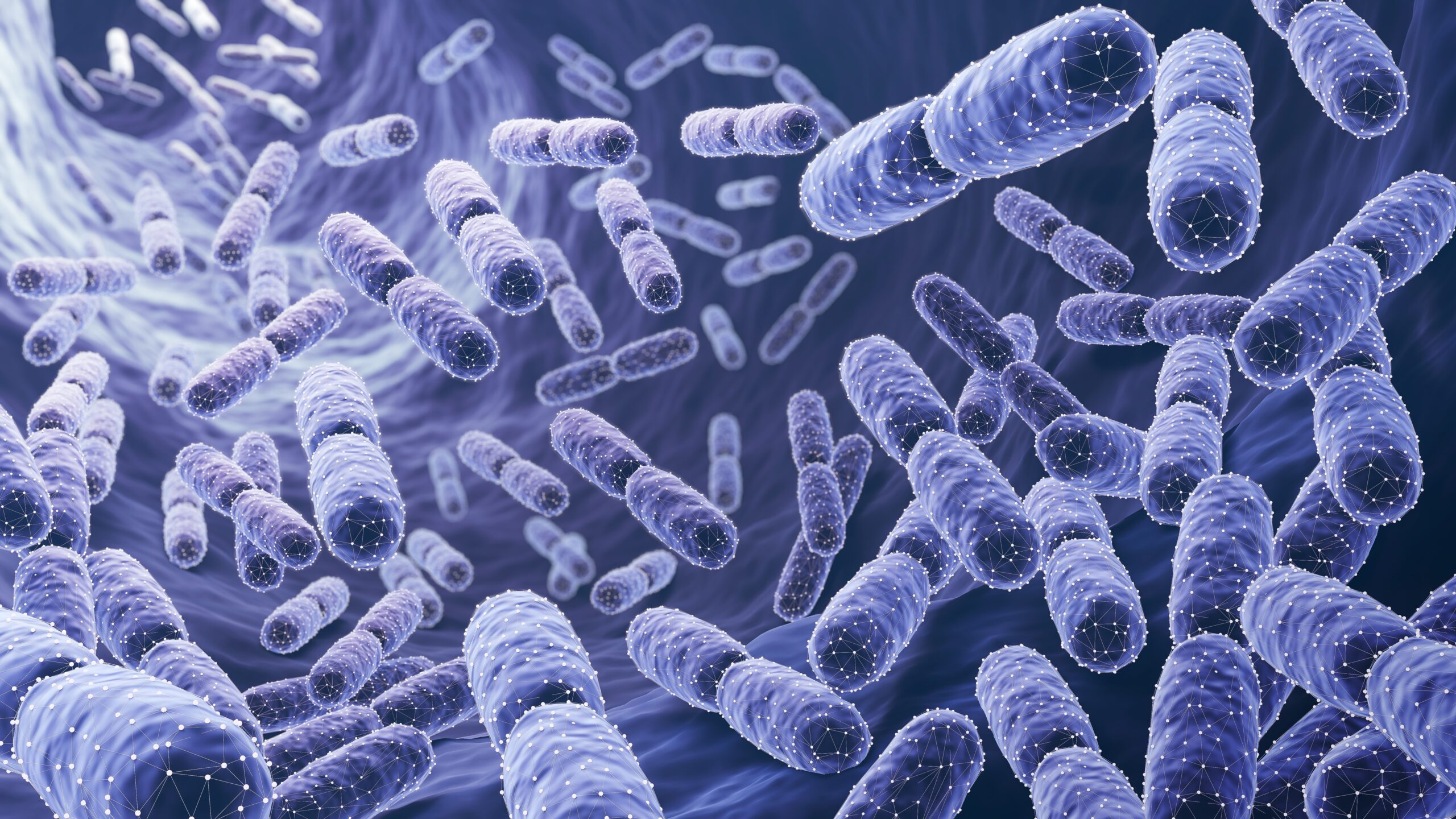 益生菌 (Probiotics) [暢便類 Gut health ]