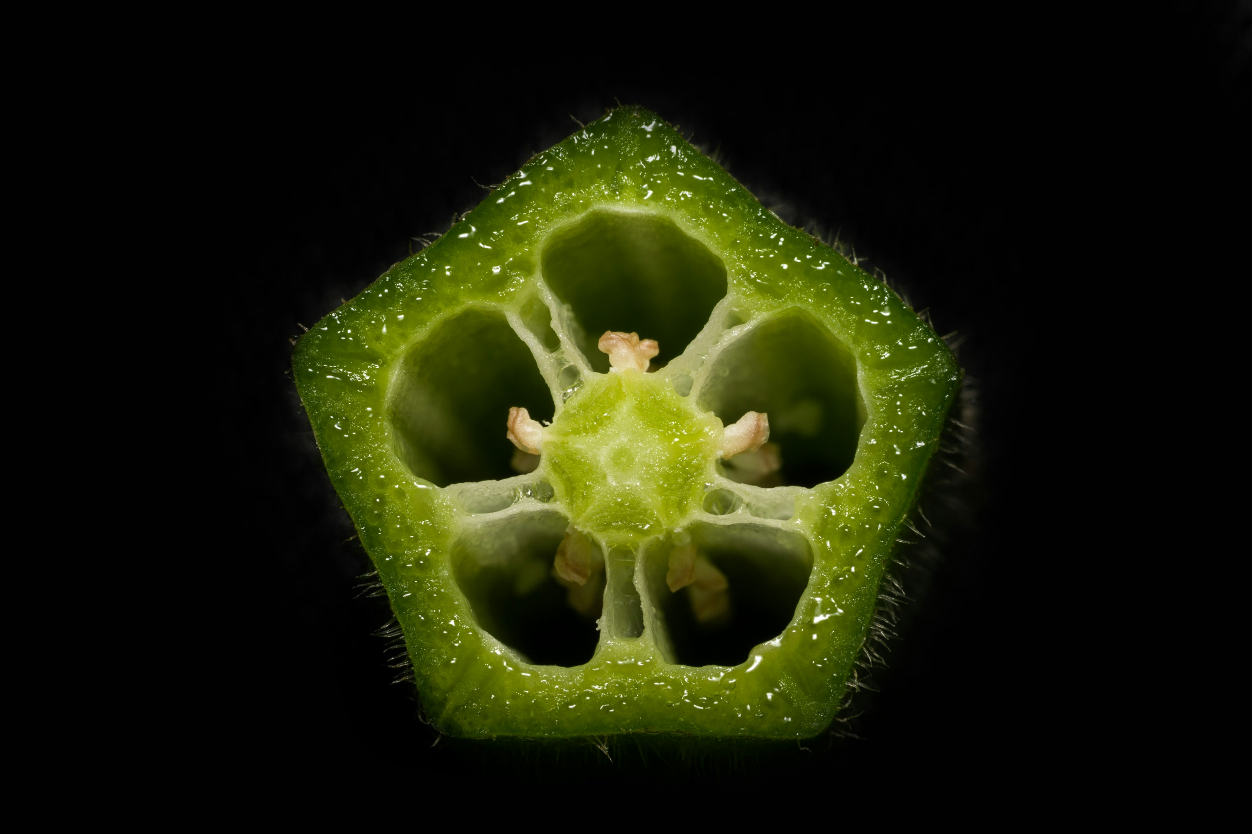 秋葵素 (Okra) [腸漏類 Leaky Gut]